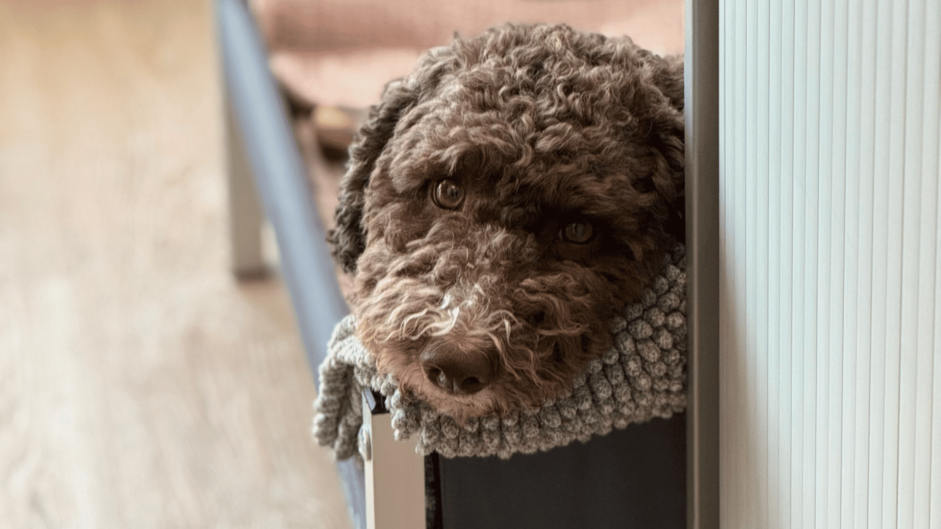 So arbeitet wikiSana wirklich: Ein Blick in meinen Alltag und warum jeder Schritt dieser Plattform eine Botschaft trägt 6 Otto So arbeitet wikiSana wirklich Ein Blick in meinen Alltag warum jeder Schritt dieser Plattform eine Botschaft traegt